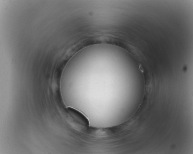 X0000114400566200910161058