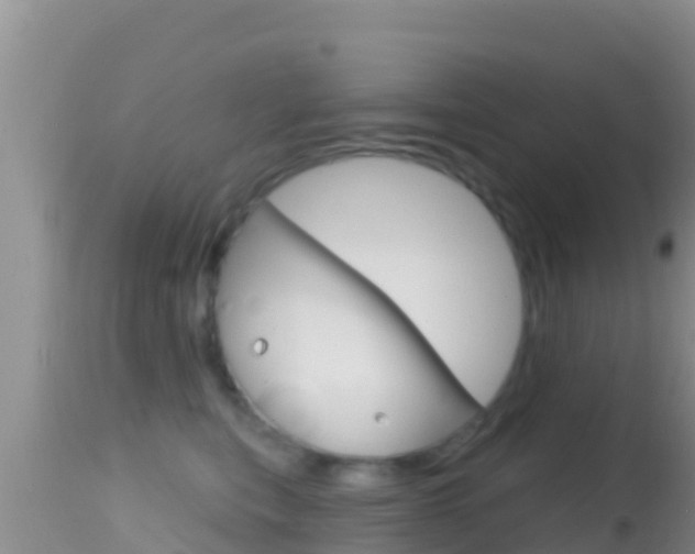 X0000114400567200910161058