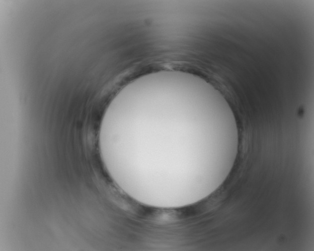 X0000114400569200910161059