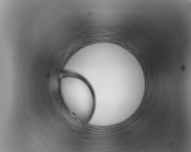 X0000114400570200910161059