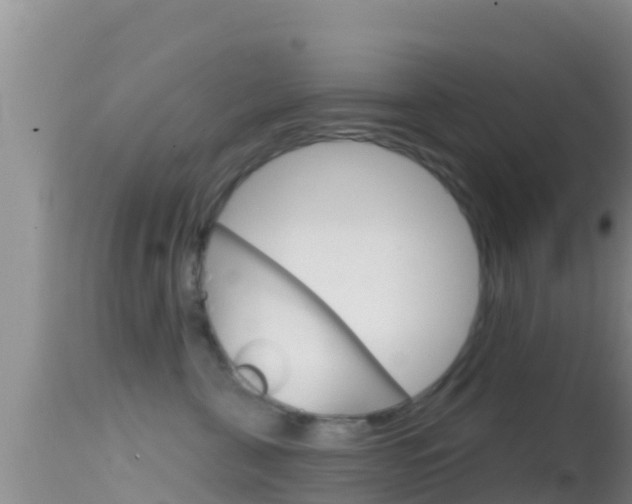 X0000114400571200910161059