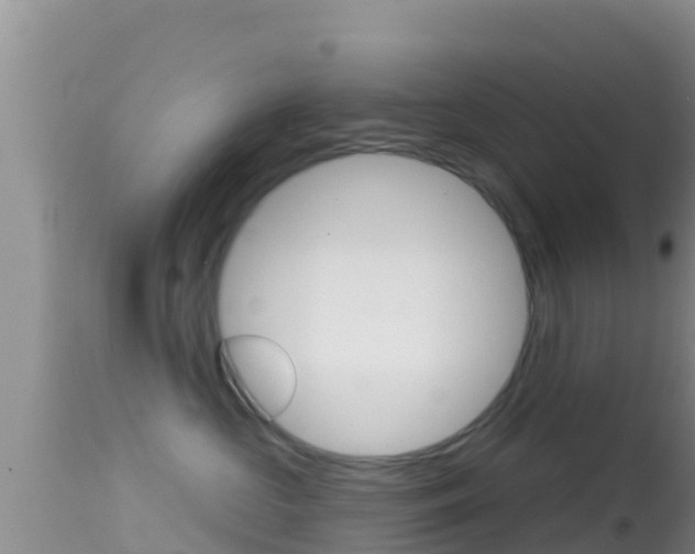 X0000114400573200910161059
