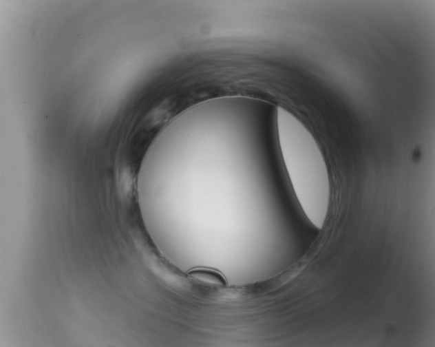 X0000114400574200910161059