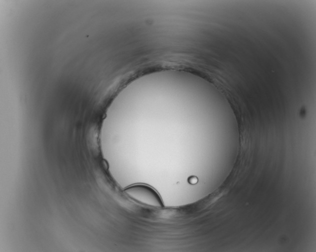 X0000114400575200910161059
