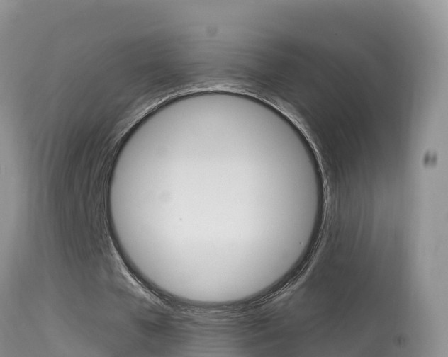 X0000114400577200910161058