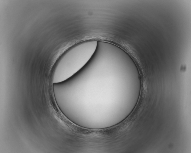 X0000114400578200910161058