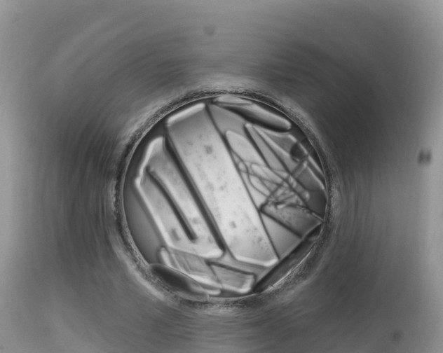 X0000114400581200910161058