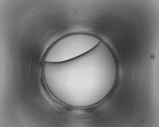 X0000114400582200910161058