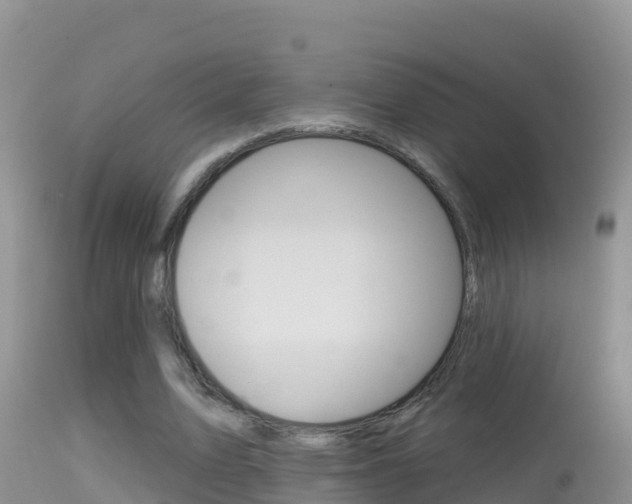 X0000114400583200910161058
