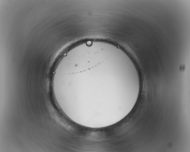 X0000114400584200910161058