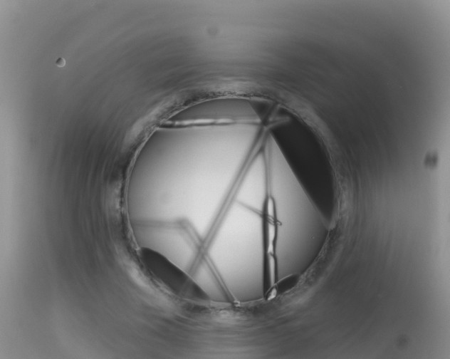 X0000114400585200910161058