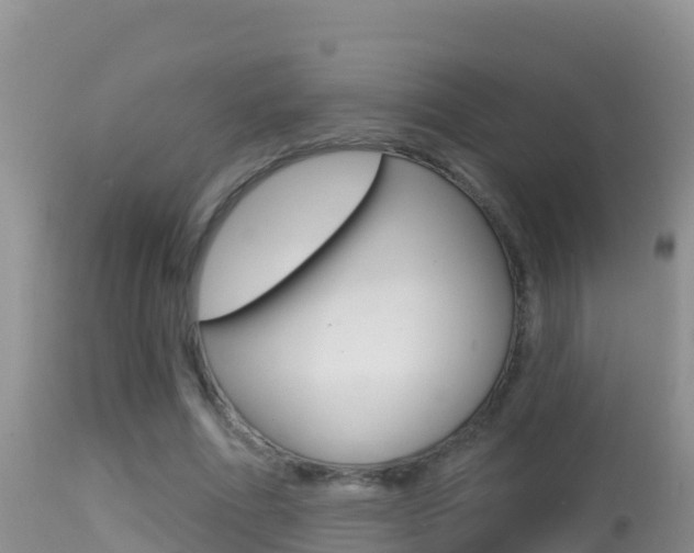 X0000114400586200910161058