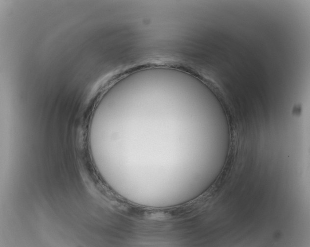 X0000114400587200910161058