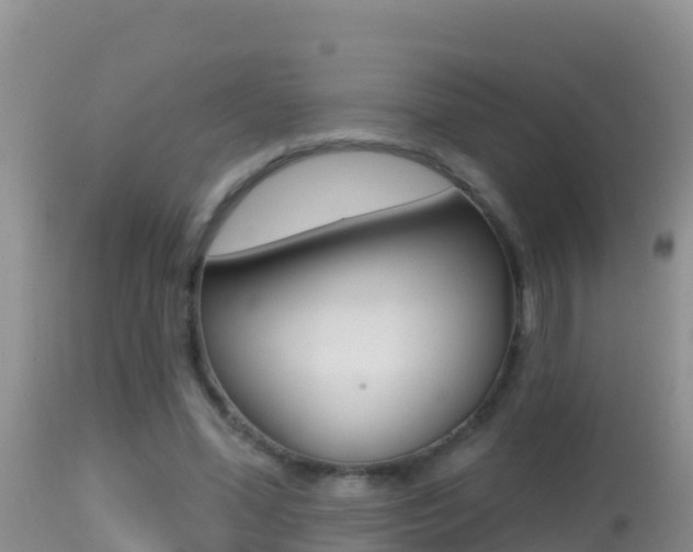 X0000114400588200910161058