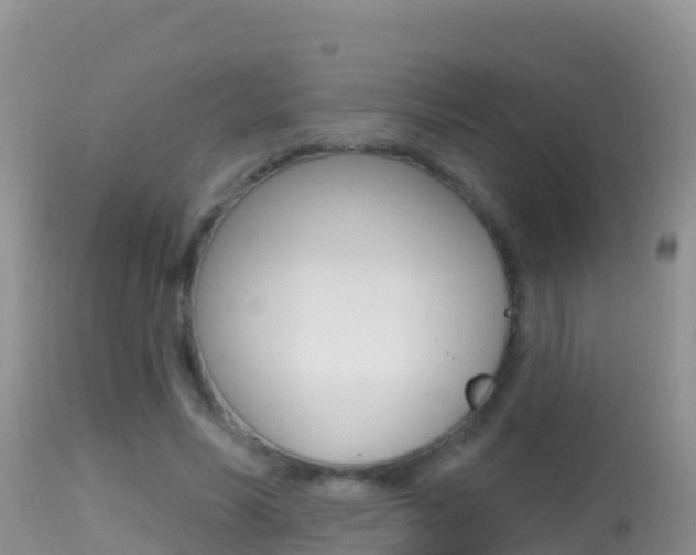 X0000114400590200910161058