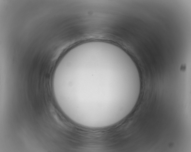 X0000114400592200910161058