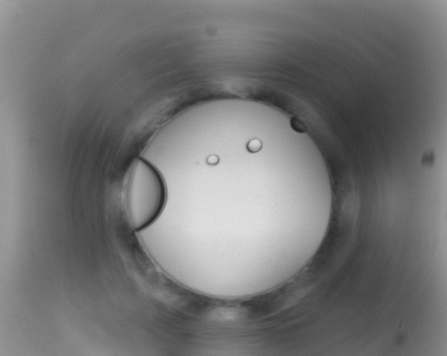 X0000114400595200910161058