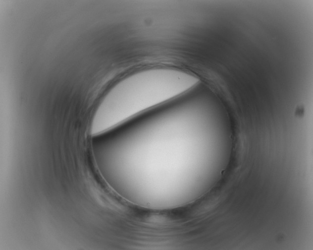 X0000114400596200910161058