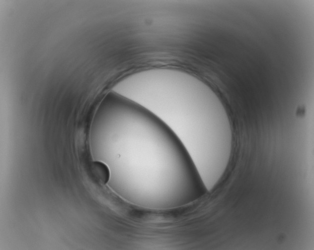 X0000114400597200910161058