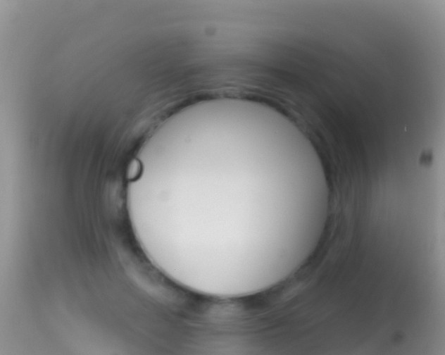X0000114400599200910161058