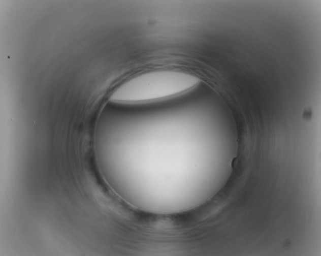 X0000114400600200910161058