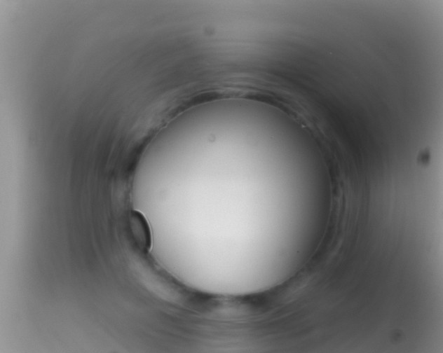 X0000114400601200910161058