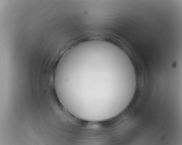 X0000114400602200910161058