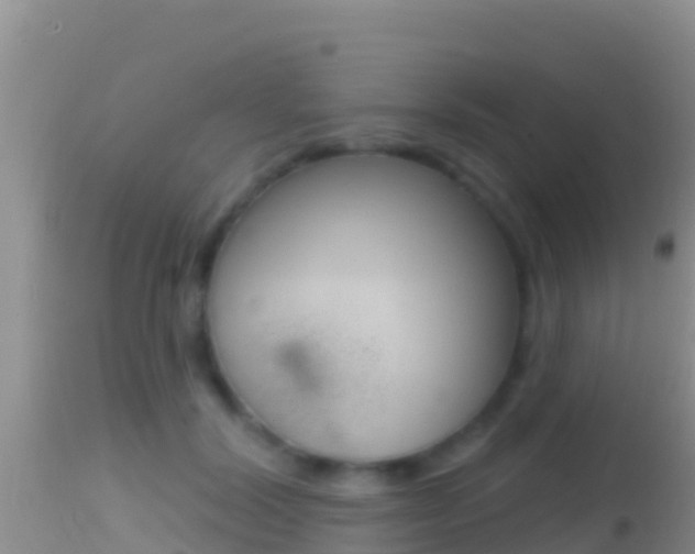 X0000114400604200910161058