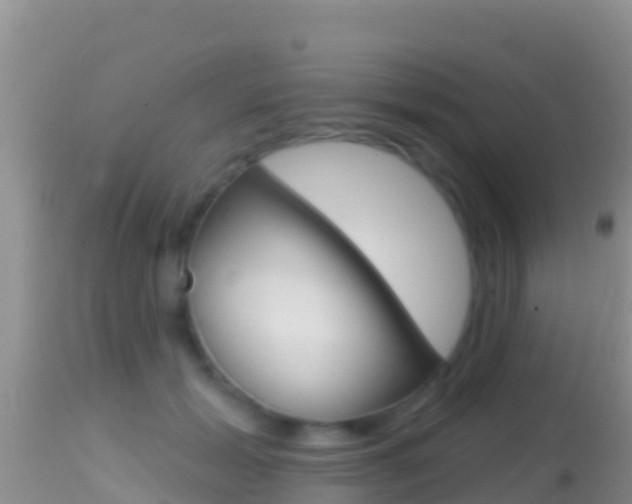 X0000114400605200910161058