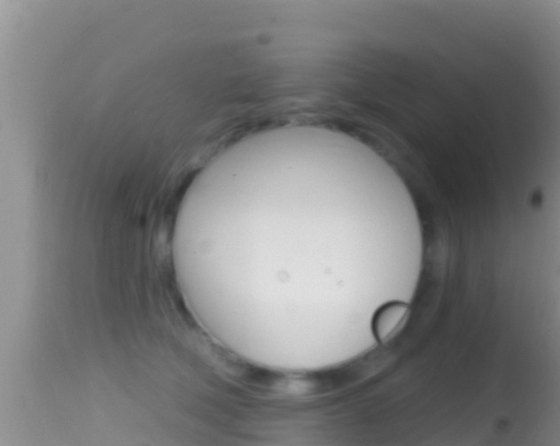 X0000114400610200910161057