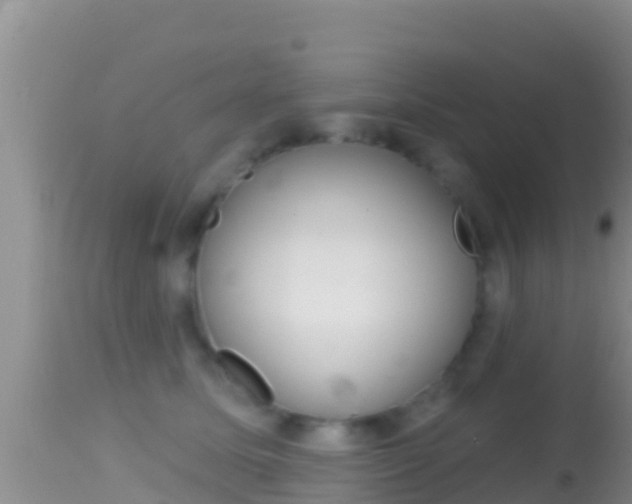 X0000114400611200910161057
