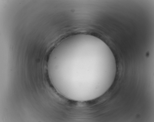 X0000114400612200910161057