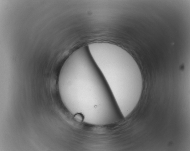 X0000114400615200910161057