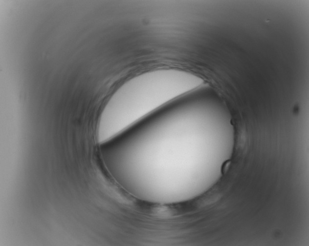 X0000114400616200910161057