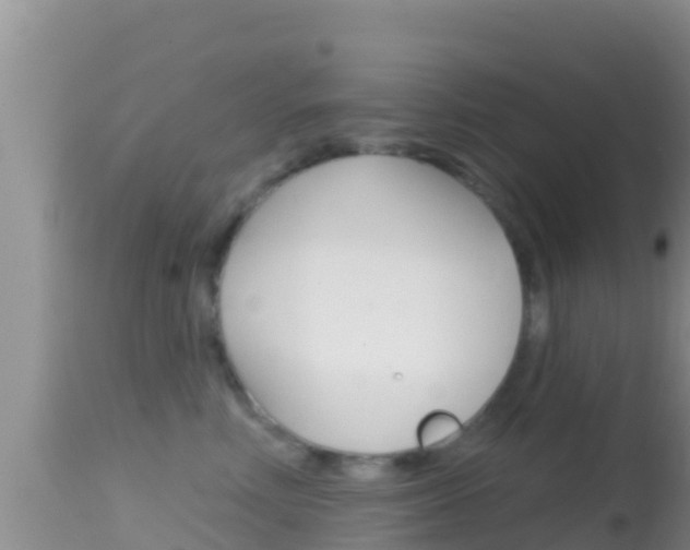 X0000114400618200910161057