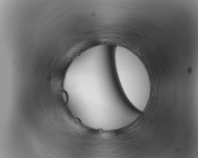 X0000114400619200910161057