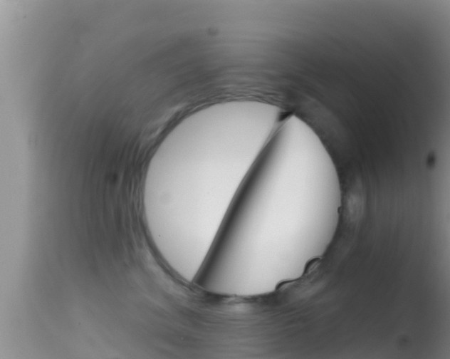 X0000114400620200910161057