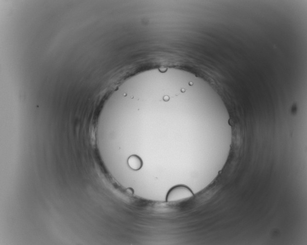 X0000114400622200910161057