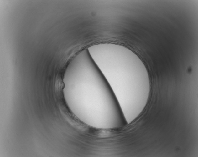 X0000114400623200910161057