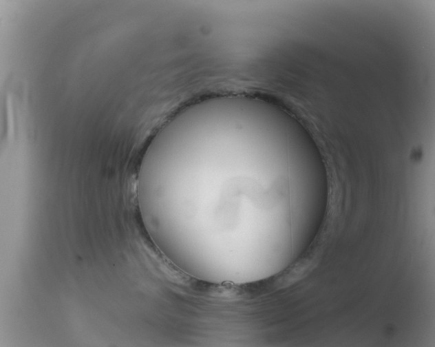 X0000114400624200910161057