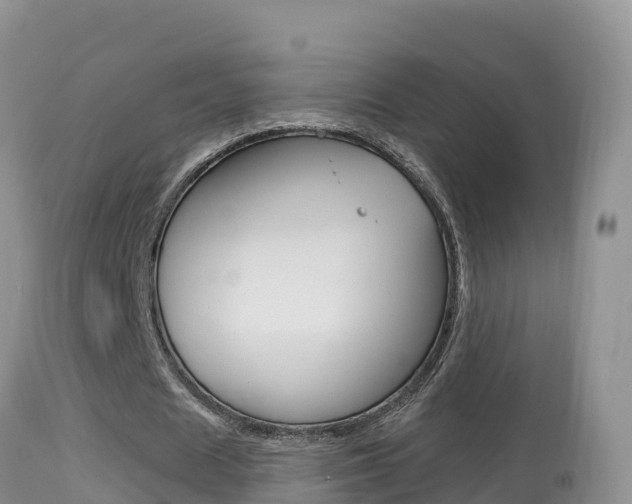 X0000114400625200910161056