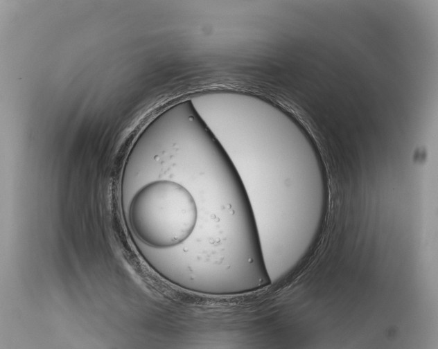 X0000114400626200910161056