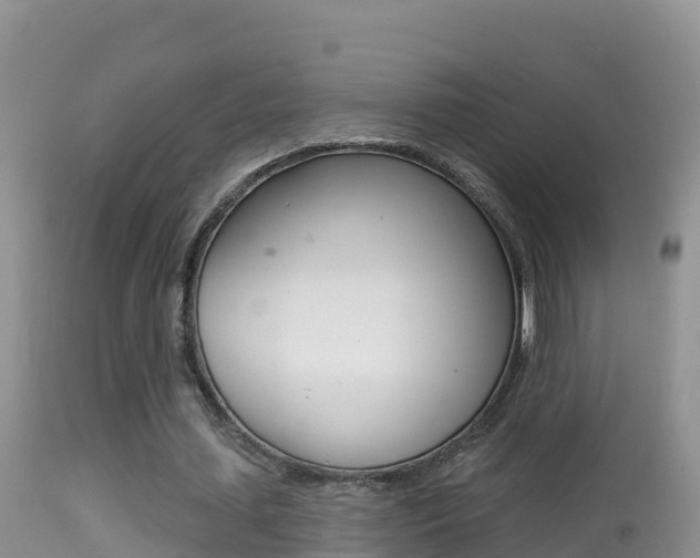 X0000114400627200910161056