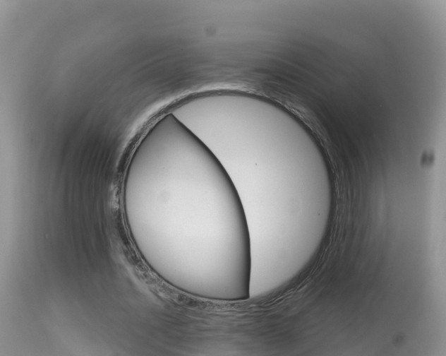 X0000114400628200910161056