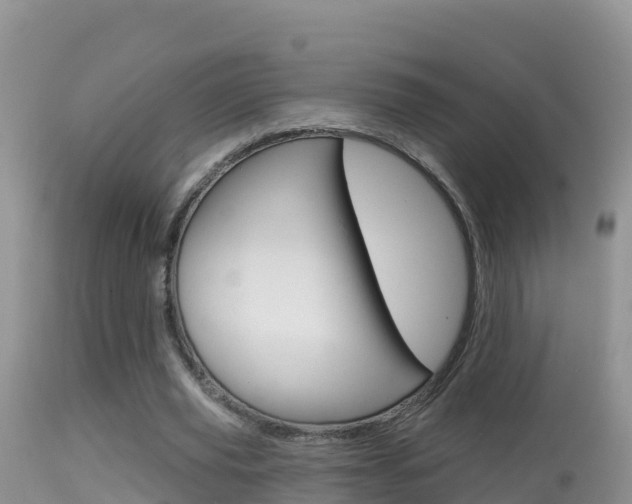 X0000114400629200910161056