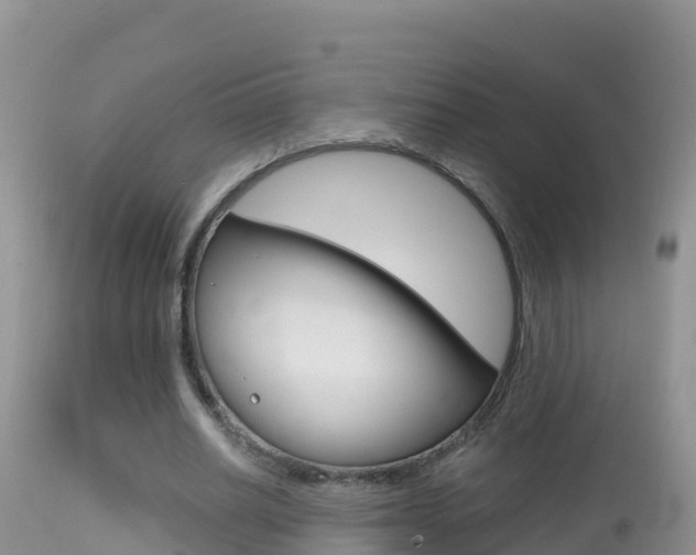 X0000114400630200910161056