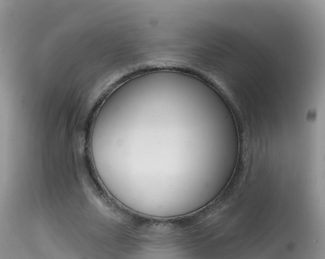 X0000114400631200910161056