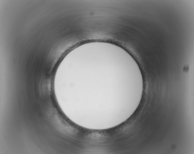 X0000114400632200910161056