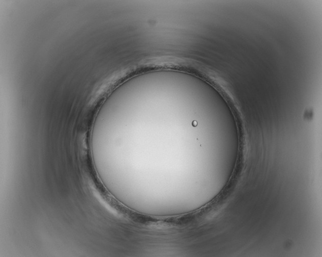 X0000114400633200910161057