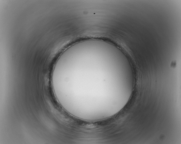 X0000114400635200910161057
